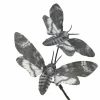10" Grey Moth Pick by Ashland®