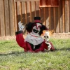Groundbreaker Animated Clown Halloween Decoration 19 1/2 Inch