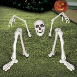 Ground Breaking Skeleton by Ashland®