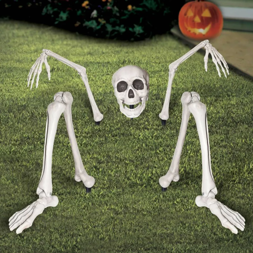 Ground Breaking Skeleton by Ashland®