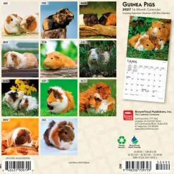 Guinea Pigs | 2027 7 x 14 Inch (Hanging) Monthly Mini Wall Calendar
