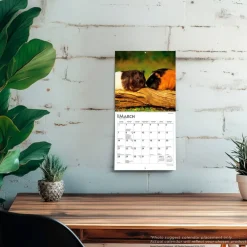 Guinea Pigs | 2027 7 x 14 Inch (Hanging) Monthly Mini Wall Calendar
