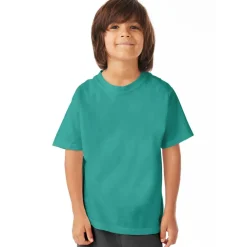 Hanes ComfortWash Youth Short Sleeve T-Shirt