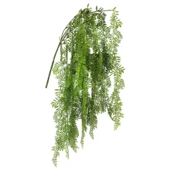26" Hanging Ficus Bush by Ashland®