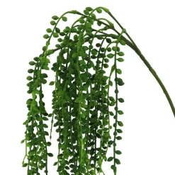 20" Hanging Succulent Stem by Ashland®