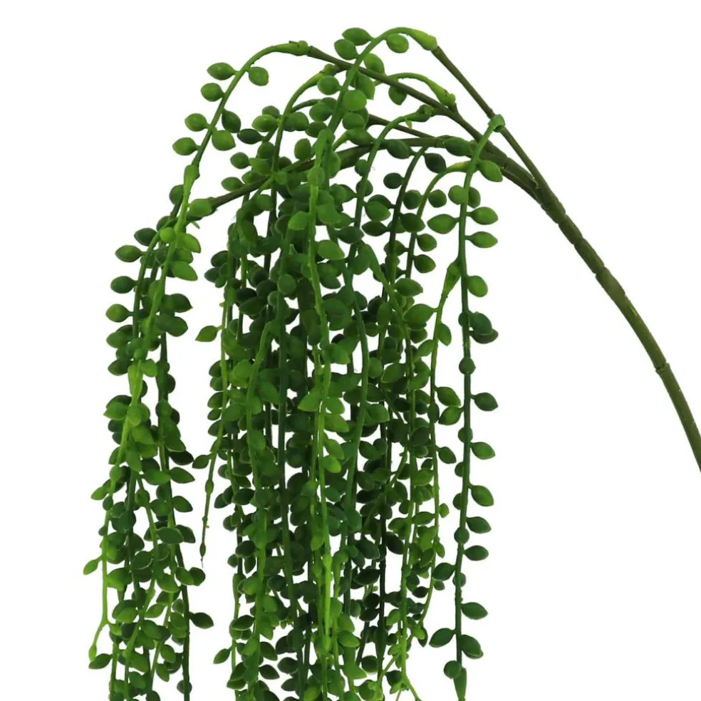 20" Hanging Succulent Stem by Ashland®