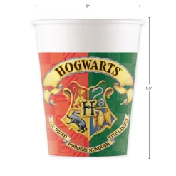 Harry Potter Party Kit