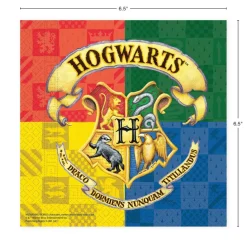 Harry Potter Party Kit