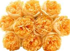 10 Heads Artificial Peony Silk Flowers for Home, Wedding, and Party Decor