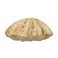 Hello Honey® Bloomingville 9" Tan Stoneware Shell Vase