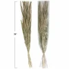 Hello Honey® 38" Dried Natural Canary Grass & Date Palm Bunch