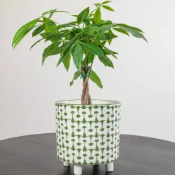 Hello Honey® 8" Footed Stoneware Planter with Abstract Print
