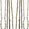 Hello Honey® 59" Long Wood Birch Branches, 16ct.