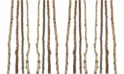 Hello Honey® 59" Long Wood Birch Branches, 16ct.
