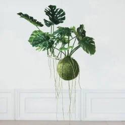 Hello Honey® 51" Lush Green Hanging Monstera Kokedama
