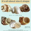 Hermit Crab Shells Turbo Shells 1 Brown, 1 Banded, & 1 White Pearlized Shell