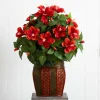 24" Hibiscus Plant in Decorative Planter