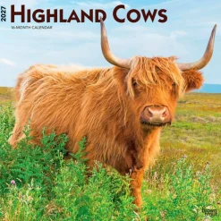 Highland Cows | 2027 12 x 24 Inch (Hanging) Monthly Square Wall Calendar | Plastic-Free