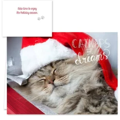 Hortense B. Hewitt Co. Christmas Cats Holiday Cards