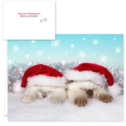 Hortense B. Hewitt Co. Christmas Cats Holiday Cards