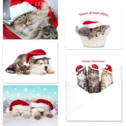 Hortense B. Hewitt Co. Christmas Cats Holiday Cards