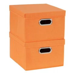 Household Essentials Storage Bins with Lids, 2ct.