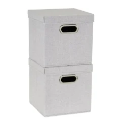 Household Essentials Storage Bins with Lids, 2ct.