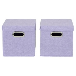 Household Essentials Storage Bins with Lids, 2ct.