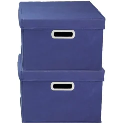 Household Essentials Storage Bins with Lids, 2ct.