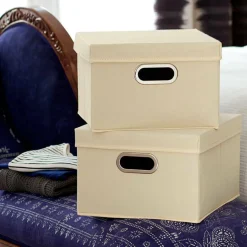Household Essentials Storage Bins with Lids, 2ct.