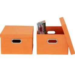 Household Essentials Storage Bins with Lids, 2ct.