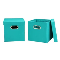 Household Essentials Storage Bins with Lids, 2ct.