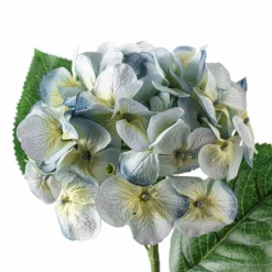 25" Hydrangea Stem by Ashland®