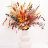17 Inch Orange Dried Pampas Grass Bouquet Fall Decor Autumn Floral Arrangement Thanksgiving Halloween Christmas Home Vase Centerpiece