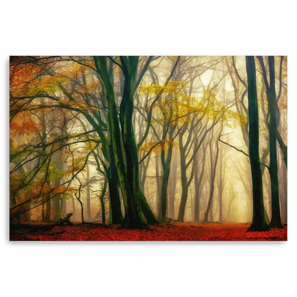 In Love with Fall Canvas Giclee