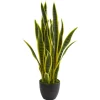 26in. Potted Sansevieria Plant