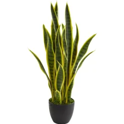 26in. Potted Sansevieria Plant