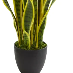 26in. Potted Sansevieria Plant