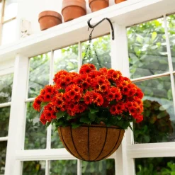 24in. UV Resistant Artificial Chrysanthemum Hanging Basket (Indoor/Outdoor)