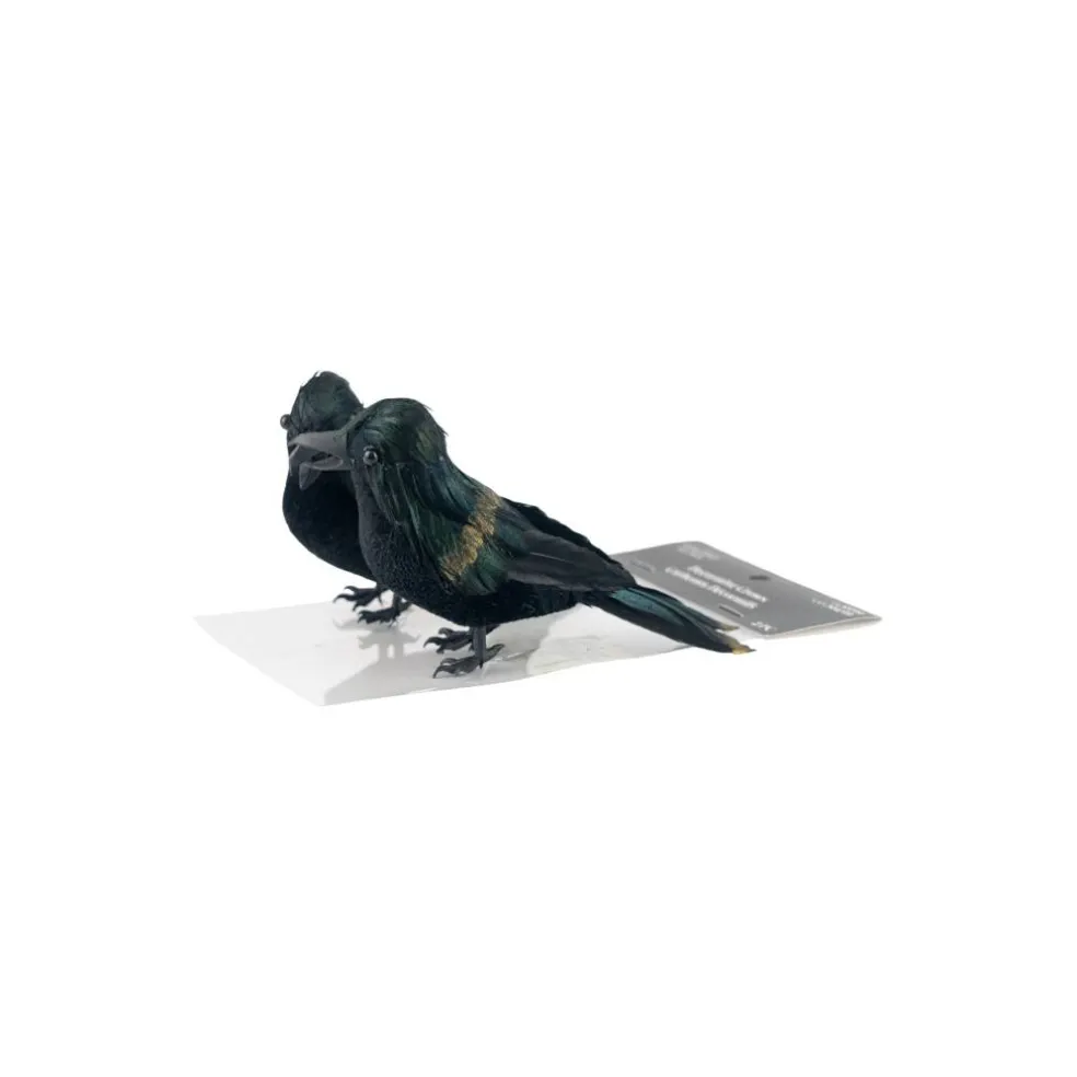Iridescent Black Crows, 2ct. by Ashland®