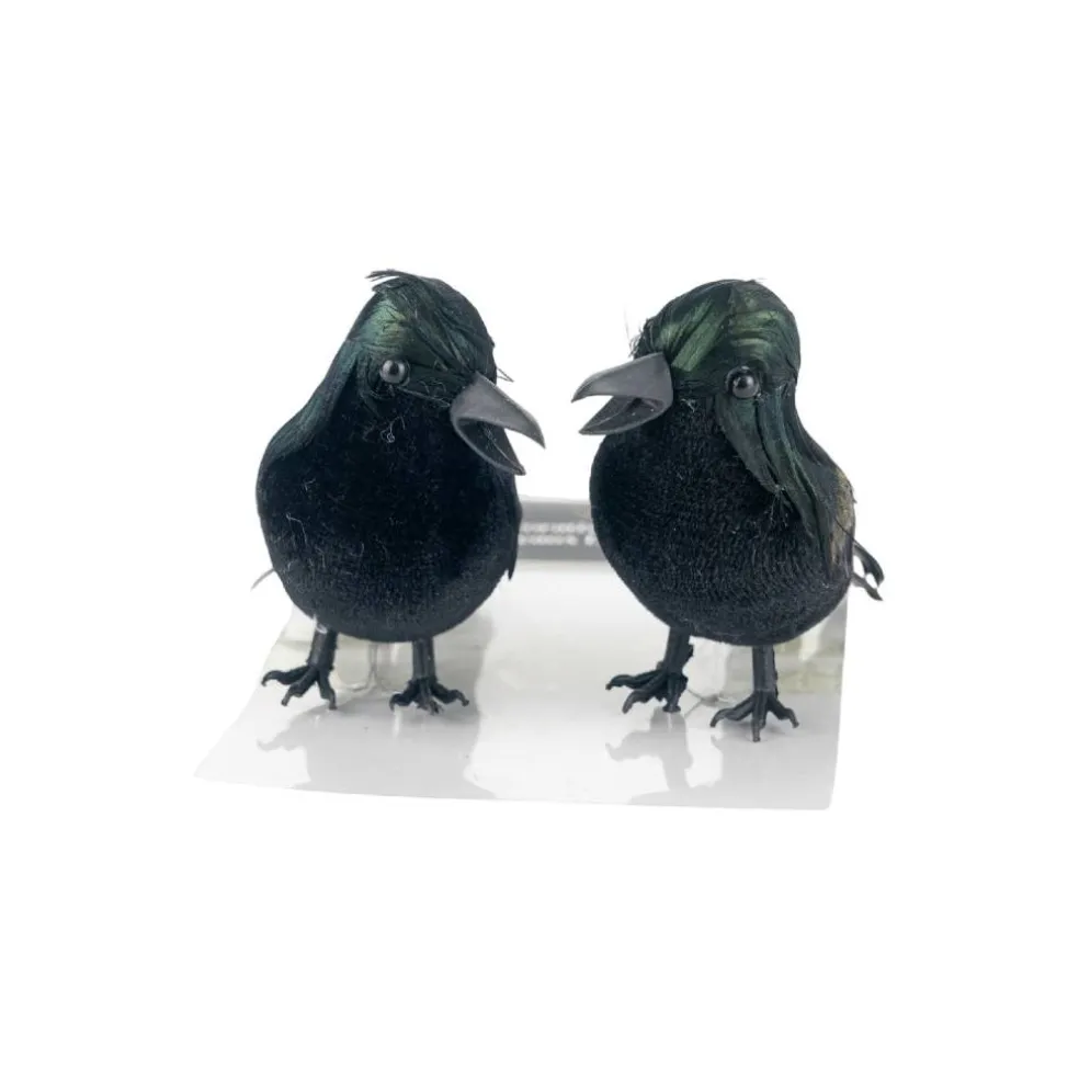 Iridescent Black Crows, 2ct. by Ashland®