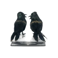 Iridescent Black Crows, 2ct. by Ashland®