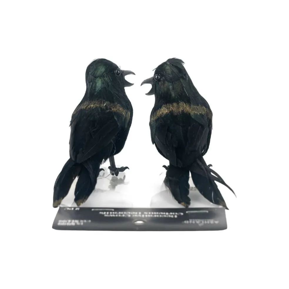 Iridescent Black Crows, 2ct. by Ashland®