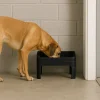 IRIS® Black Adjustable Elevated Pet Feeder, 2ct.