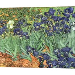 Irises, 1889 by Vincent Van Gogh 20" x 16" Canvas Wall Art