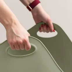 IRIS USA Cat Litter Box with High Walls and Handles, Made with Flexible Plastic, Sage Green