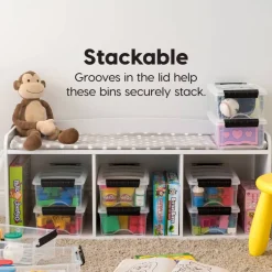 IRIS USA Plastic Storage Bins with Lids and Secure Latching Buckles