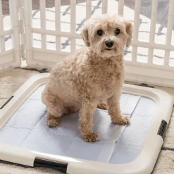 IRIS USA Square Pet Training Pad Holder