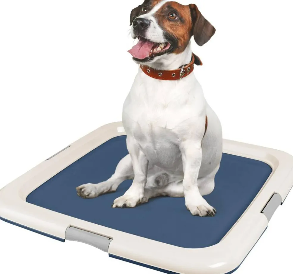 IRIS USA Square Pet Training Pad Holder