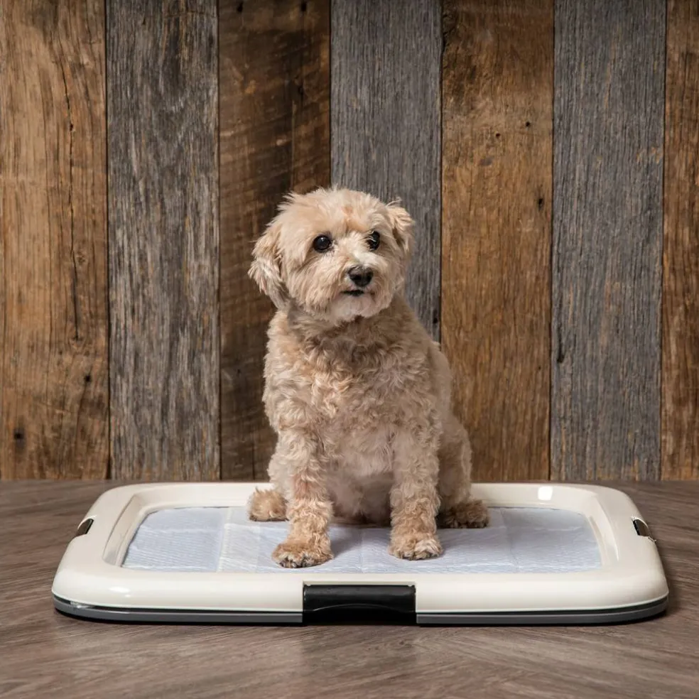 IRIS USA Square Pet Training Pad Holder